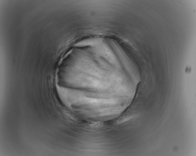 X0000090890720200708171705