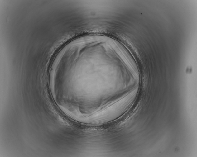 X0000090890721200708171705