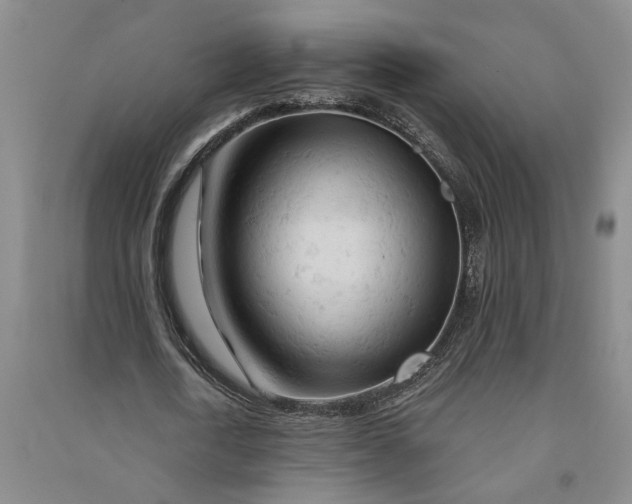 X0000090890722200708171705