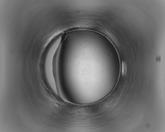 X0000090890723200708171705