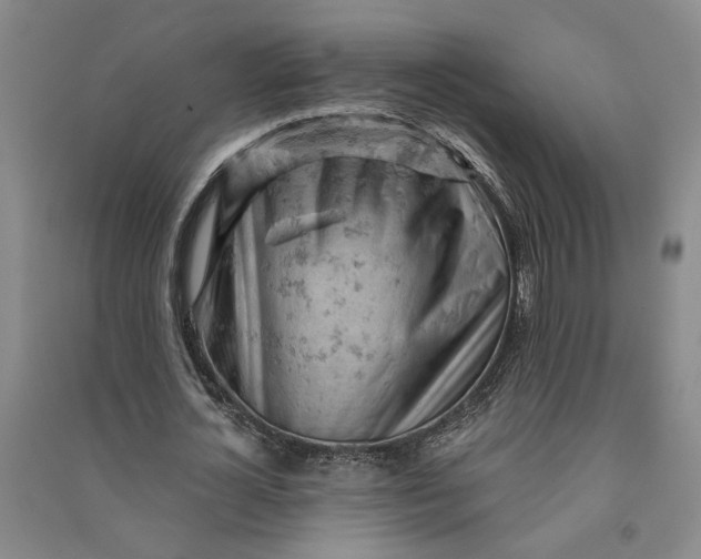 X0000090890724200708171705