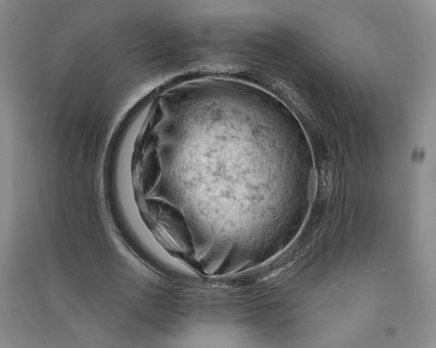 X0000090890726200708171705