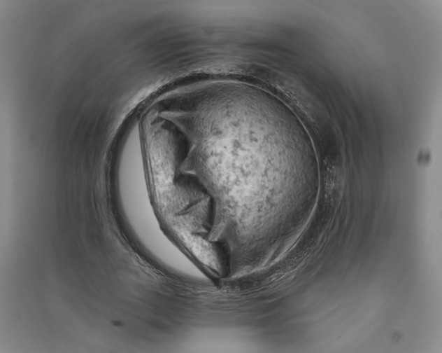 X0000090890727200708171705