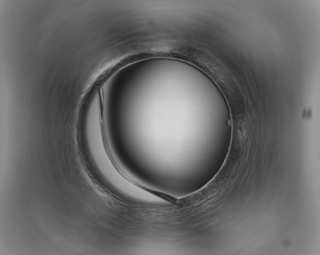 X0000090890728200708171705