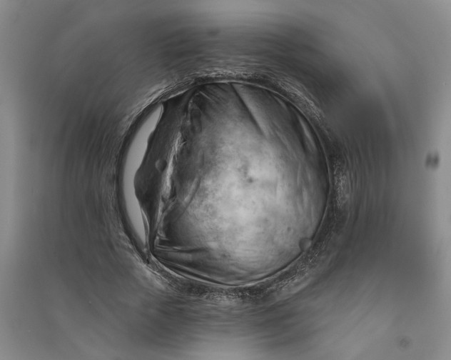 X0000090890729200708171705