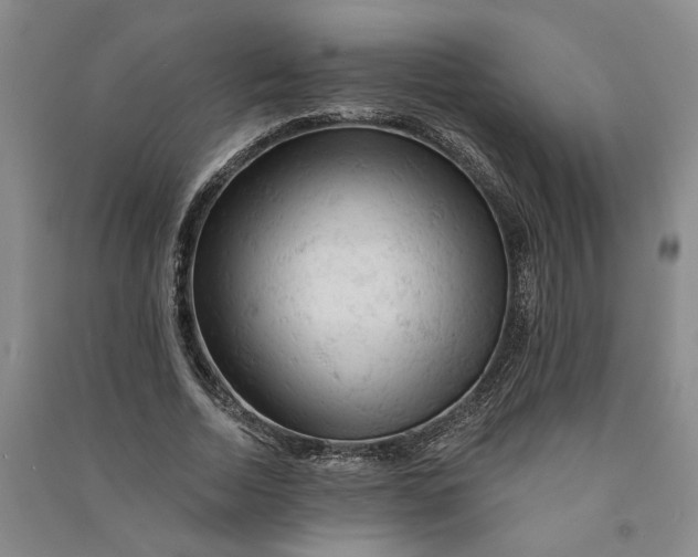 X0000090890730200708171705