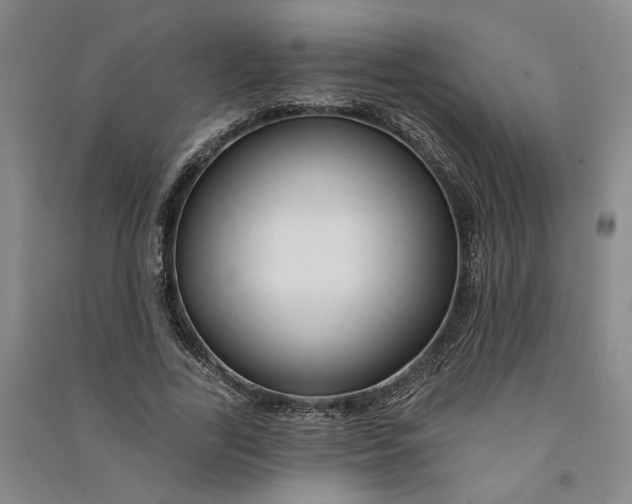 X0000090890731200708171705