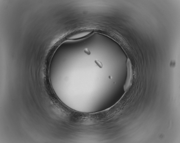 X0000090890732200708171705