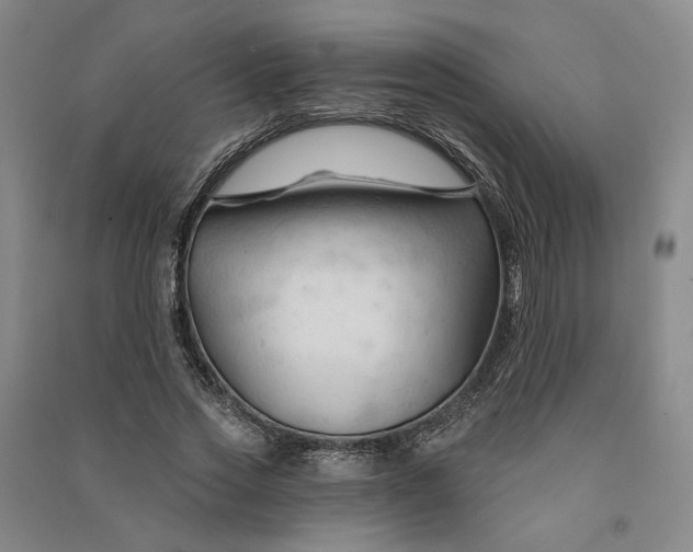 X0000090890733200708171705