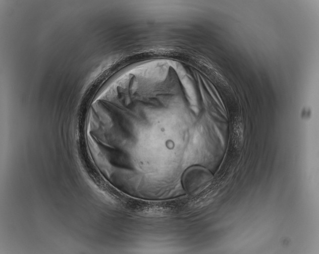 X0000090890734200708171705