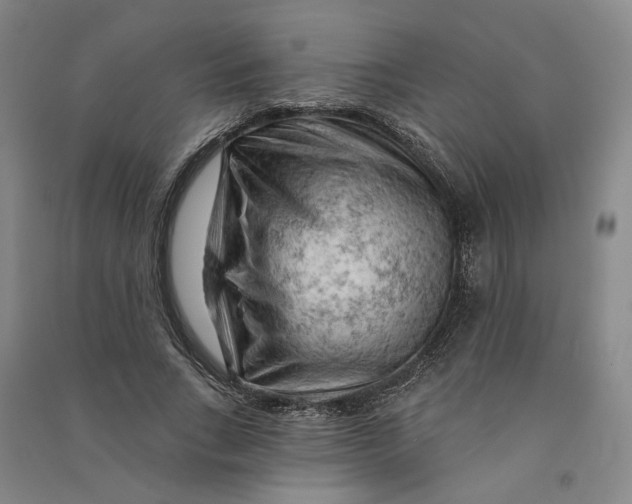 X0000090890735200708171705