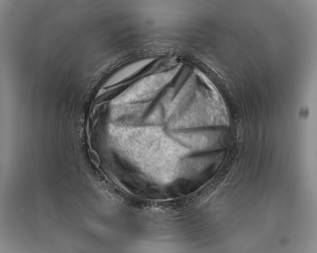 X0000090890737200708171705