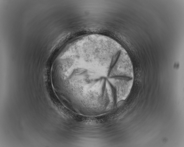 X0000090890738200708171705