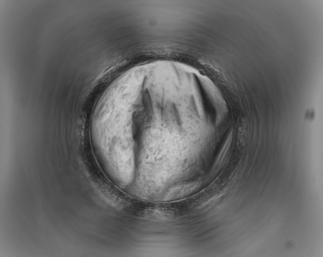 X0000090890739200708171705