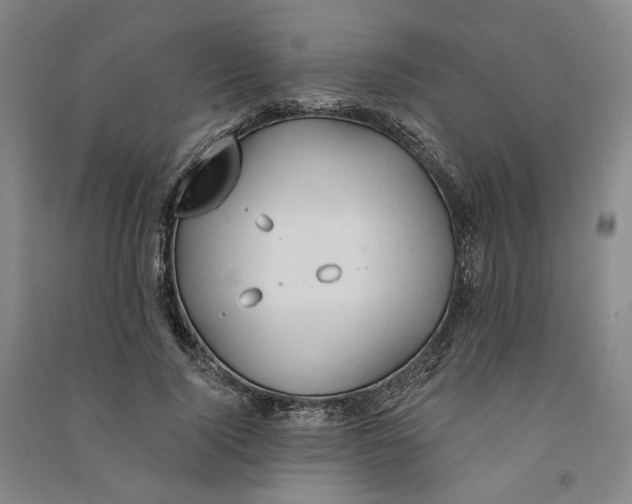 X0000090890740200708171705