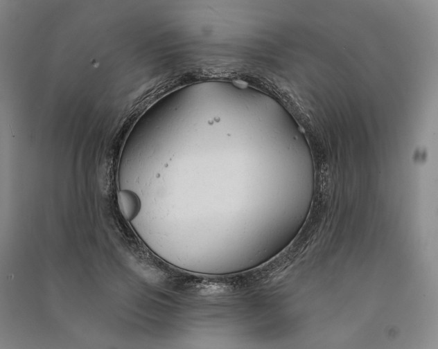 X0000090890741200708171705