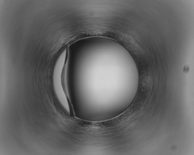 X0000090890743200708171705