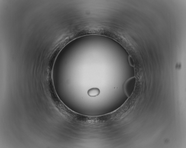 X0000090890744200708171705