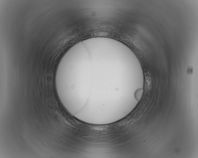 X0000090890745200708171705