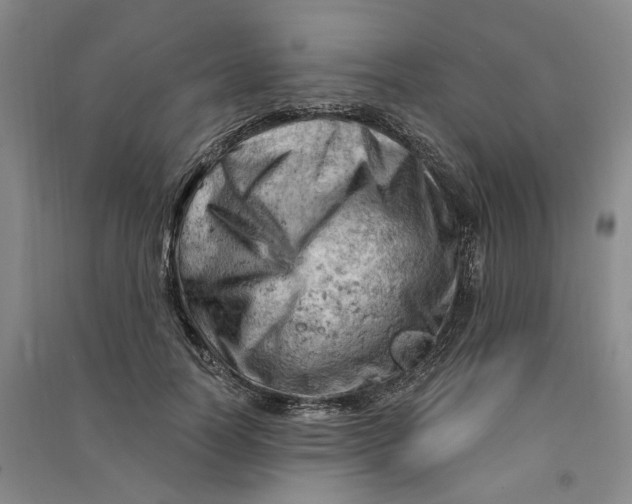 X0000090890746200708171705