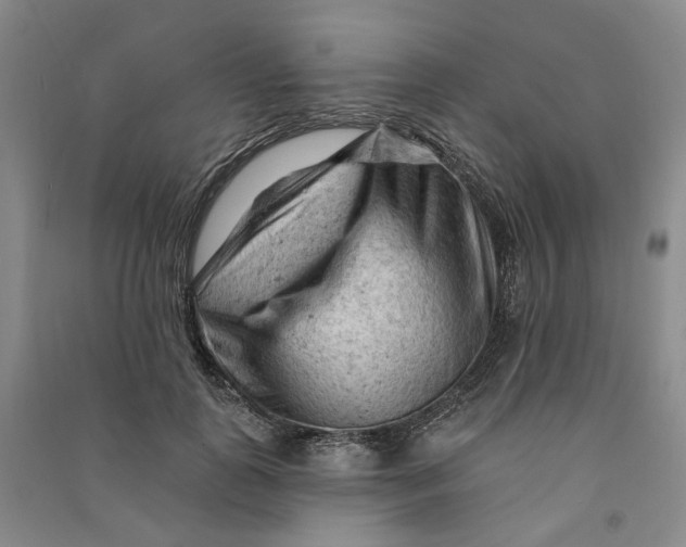 X0000090890747200708171705