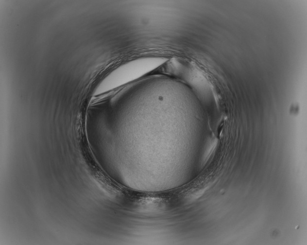 X0000090890748200708171705