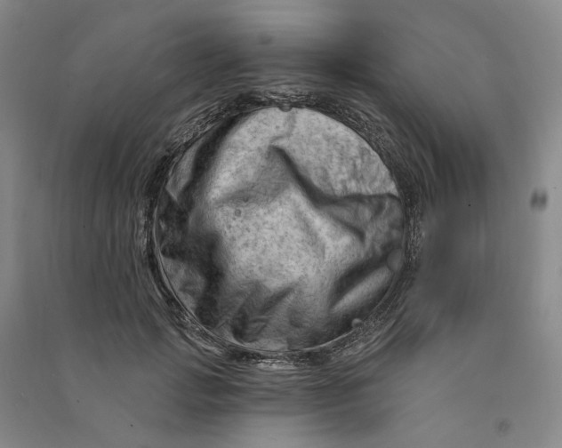 X0000090890749200708171705