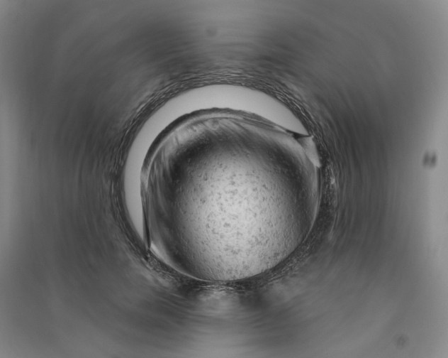 X0000090890750200708171705