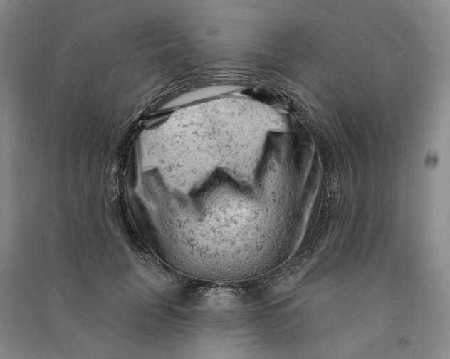 X0000090890751200708171705