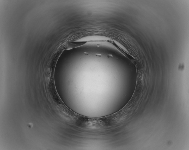 X0000090890752200708171705