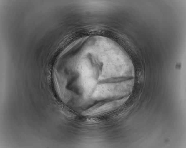 X0000090890753200708171705