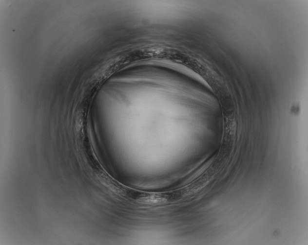 X0000090890754200708171705