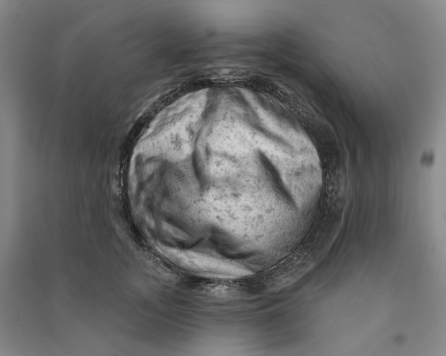 X0000090890755200708171705