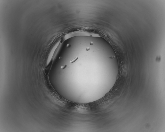 X0000090890756200708171705