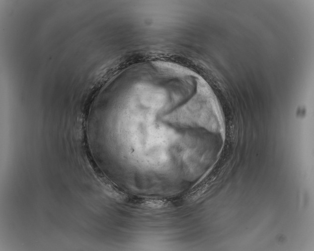 X0000090890757200708171705