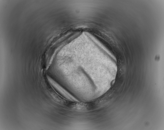 X0000090890758200708171705