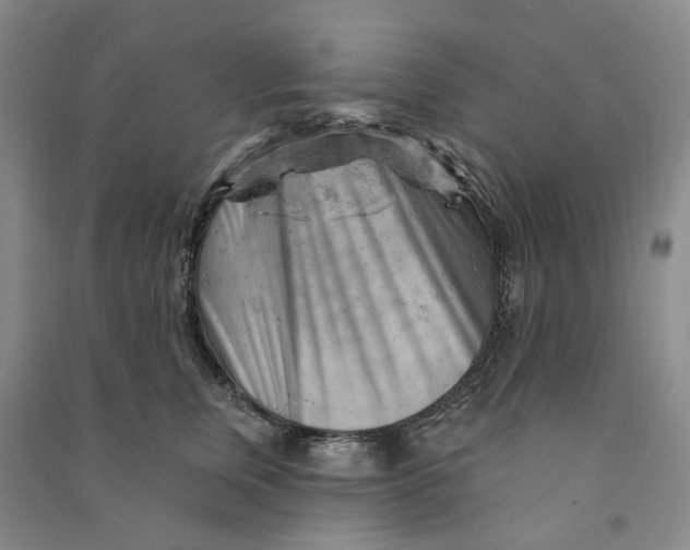 X0000090890759200708171705