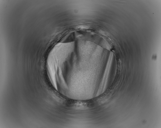 X0000090890760200708171705