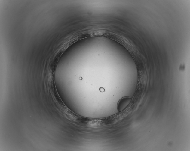 X0000090890761200708171705