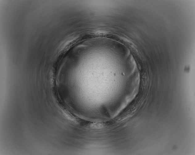 X0000090890762200708171705