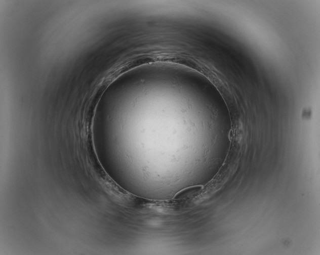 X0000090890763200708171705