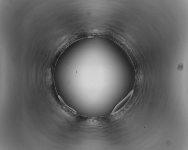 X0000090890764200708171705