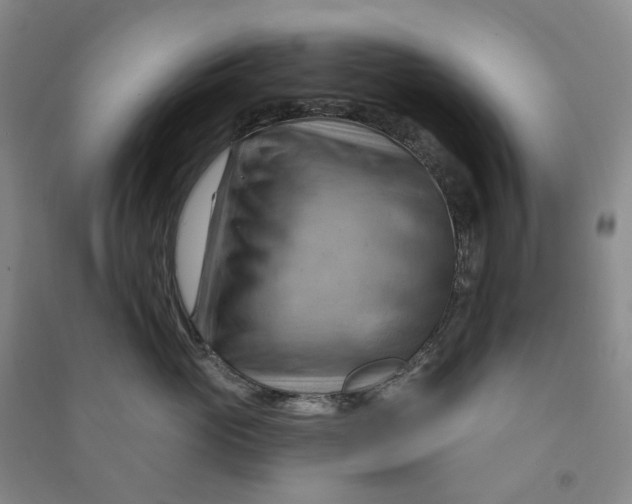 X0000090890765200708171705