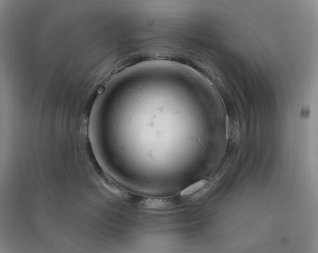 X0000090890766200708171705