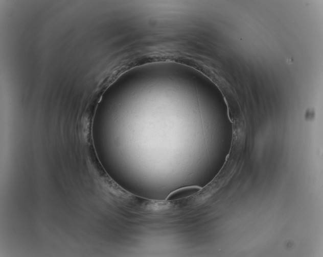 X0000090890767200708171705