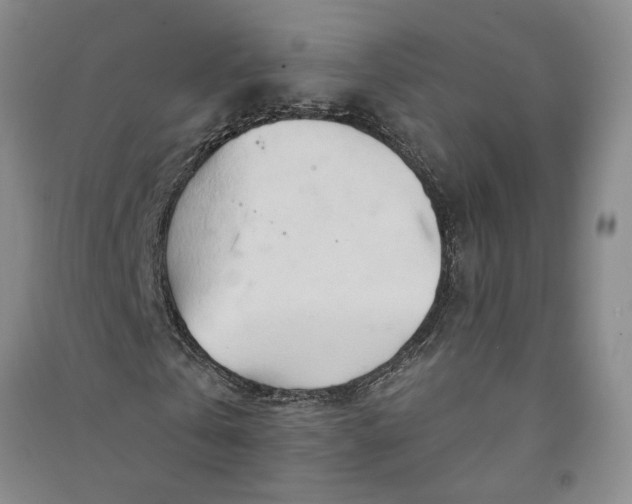 X0000090890769200708171705