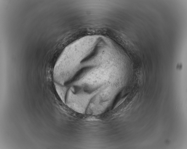 X0000090890770200708171705