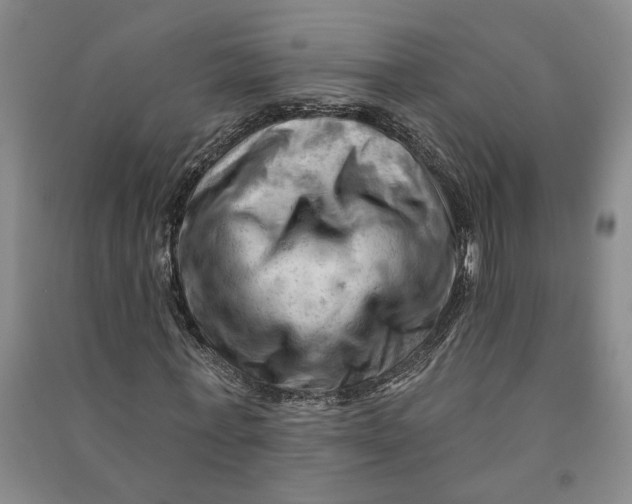 X0000090890771200708171705