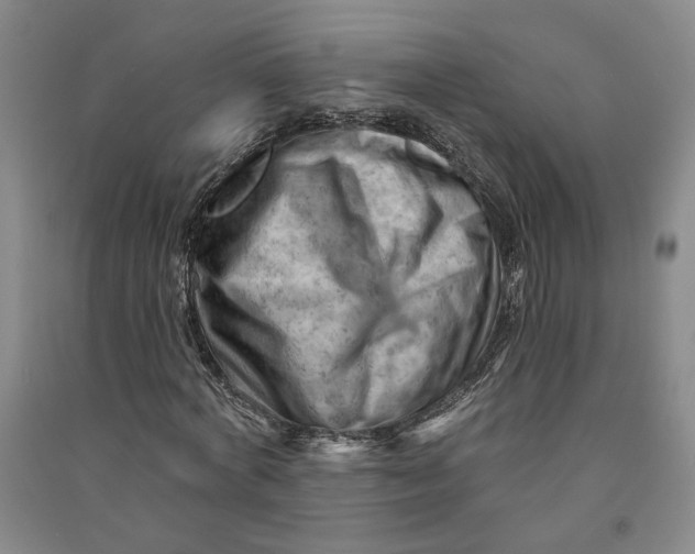 X0000090890772200708171705