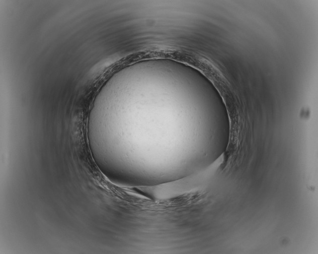 X0000090890773200708171705